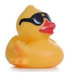 DuckImage